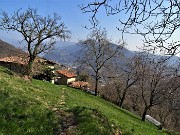 Benedetta primavera sui sentieri per il Monte Ubione da Ubiale-18mar23 - FOTOGALLERY